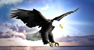 宏遠董事長吳旅良的創業故事(二)