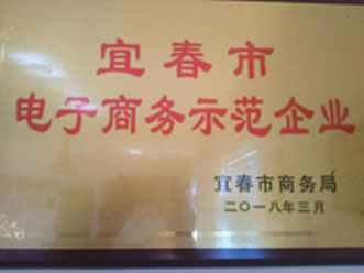 我司獲市電子商務(wù)示范企業(yè)稱號(hào)