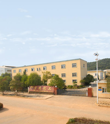 吳總經(jīng)理參加縣局稅務(wù)局稅企座談會(huì)