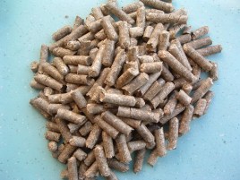 水產飼料中為什么要加入硬脂酸鎂呢?